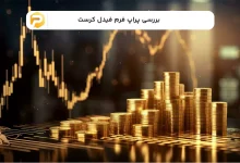 پراپ فرم فیدل کرست